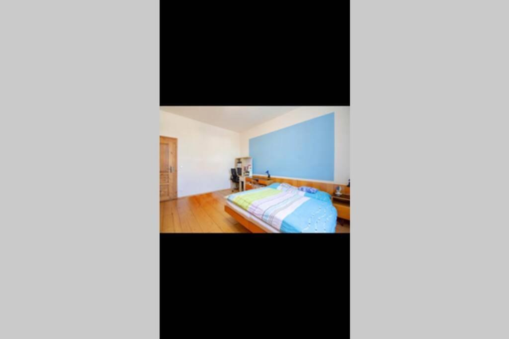 Zámecký apartmán v Horní Plané Horní Planá Esterno foto